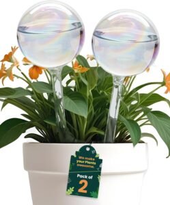 Iridescent Glass Self-Watering Globes – Rainbow Botanical Hydration