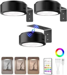 Rechargeable Picture Lights for Wall | EZVALO LED Wall Art Lighting with Remote, Dimmable & RGB Color Modes (3 Pack)
