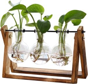 XXXFLOWER Plant Terrarium with Wooden Stand | 3 Bulb Glass Vase Hydroponic Planter | Retro Tabletop Prop for Home, Office & Garden Décor