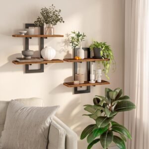 HOOBRO Floating Wall Shelves Set of 2 | 15-Inch 2-Tier Wall Mounted Storage Shelves | Rustic Brown & Black